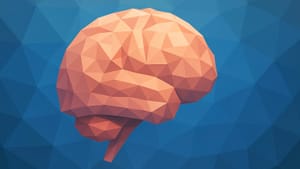 Современная наука снова не смогла объяснить природу сознания