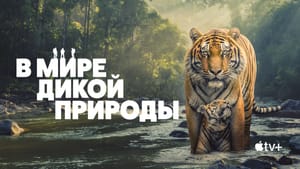 Apple выпустит «В мире дикой природы» — новую документалку о редких животных