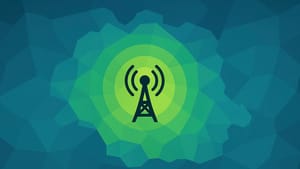 МегаФон разогнал интернет в самом густонаселенном городе Ленинградской области