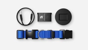 Представлен ошейник для собак с ИИ с функциями анализа поведения и доступом через Apple Watch