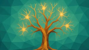 Учёные выяснили, как мозг запоминает истории: в виде дерева с узлами и ветвями