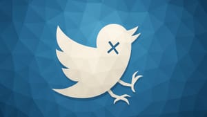 Стартап Operation Bluebird требует лишить компанию X прав на бренд Twitter