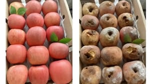 Фейковый брак, реальные убытки: как ИИ помогает мошенникам грабить онлайн-магазины в Китае