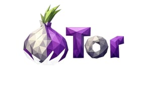 Tor раскрыл своих спонсоров — от Госдепа США до добровольных переводчиков