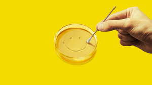 Как студийные боссы переписали финал шоу «Одна из многих», а Тим Кук «взорвал» соцсети неудачным поздравлением