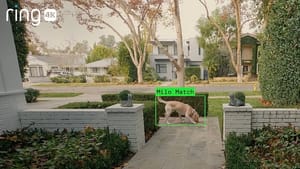 «Черное зеркало» в каждый дом: как поиск собак от Amazon напугал Америку