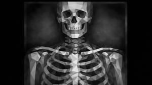 Нейросети научились подделывать рентгеновские снимки: врачи и сам ИИ не могут отличить их от настоящих