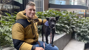 ИТ-предприниматель из Сиднея создал персонализированную вакцину от рака для своей собаки с помощью нейросетей