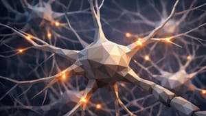 Исследование: человеческий интеллект определяется не числом нейронов, а их вычислительной сложностью