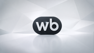 Wildberries открыла доступ к мессенджеру WB Chat