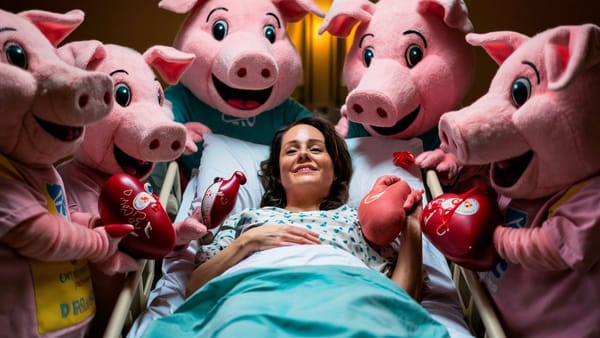 Свиньи продолжают спасать человеческие жизни: женщине пересадили почку и насос для сердца