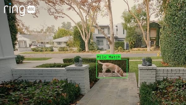 «Черное зеркало» в каждый дом: как поиск собак от Amazon напугал Америку